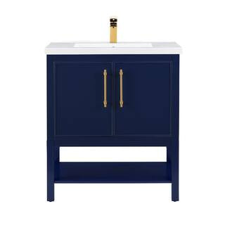 Taylor 30 in. W x 18.5 in. D x 34.5 in. H Bath Vanity in Navy Blue