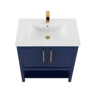 Taylor 30 in. W x 18.5 in. D x 34.5 in. H Bath Vanity in Navy Blue