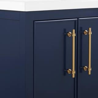 Taylor 30 in. W x 18.5 in. D x 34.5 in. H Bath Vanity in Navy Blue